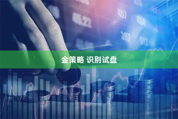 金策略 识别试盘