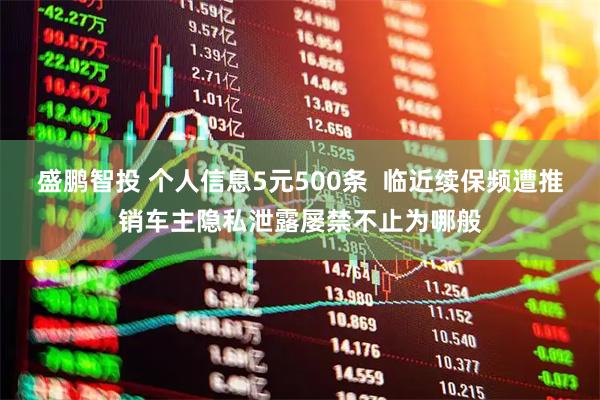 盛鹏智投 个人信息5元500条  临近续保频遭推销车主隐私泄露屡禁不止为哪般