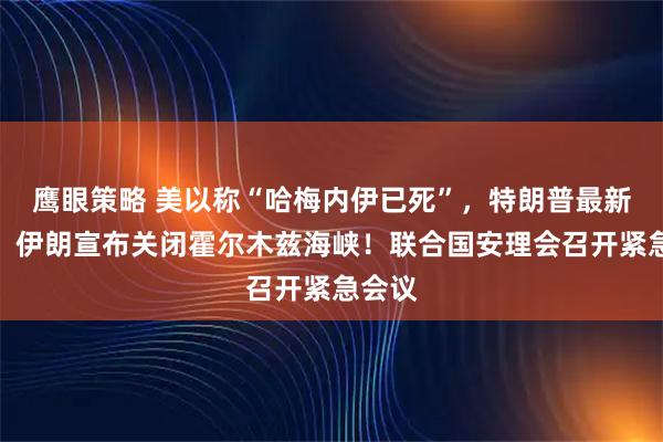 鹰眼策略 美以称“哈梅内伊已死”，特朗普最新发声！伊朗宣布关闭霍尔木兹海峡！联合国安理会召开紧急会议