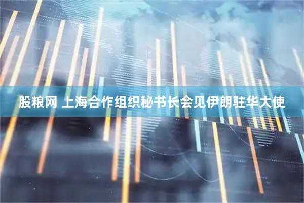股粮网 上海合作组织秘书长会见伊朗驻华大使