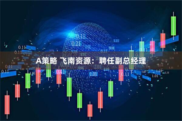 A策略 飞南资源：聘任副总经理