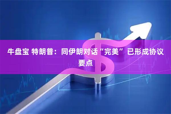 牛盘宝 特朗普：同伊朗对话“完美” 已形成协议要点