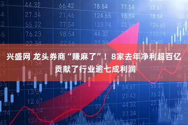 兴盛网 龙头券商“赚麻了”！8家去年净利超百亿 贡献了行业逾七成利润