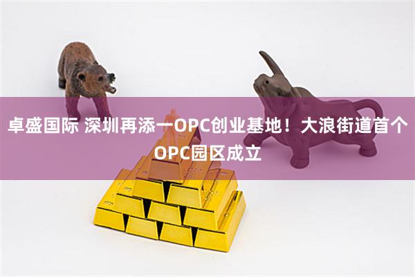 卓盛国际 深圳再添一OPC创业基地！大浪街道首个OPC园区成立
