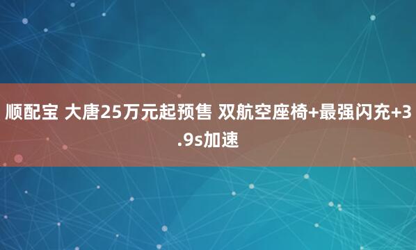 顺配宝 大唐25万元起预售 双航空座椅+最强闪充+3.9s加速
