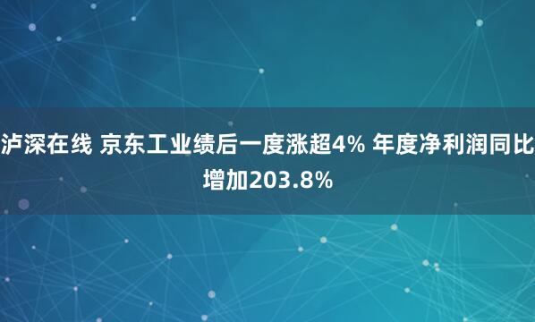 泸深在线 京东工业绩后一度涨超4% 年度净利润同比增加203.8%
