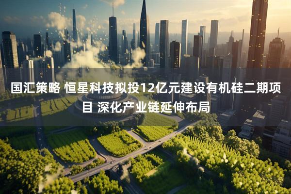 国汇策略 恒星科技拟投12亿元建设有机硅二期项目 深化产业链延伸布局