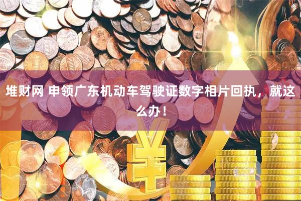 堆财网 申领广东机动车驾驶证数字相片回执，就这么办！