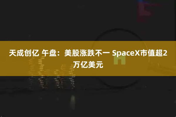 天成创亿 午盘：美股涨跌不一 SpaceX市值超2万亿美元