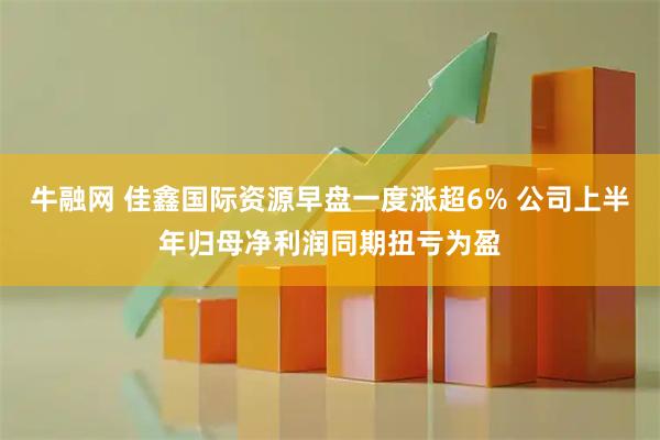 牛融网 佳鑫国际资源早盘一度涨超6% 公司上半年归母净利润同期扭亏为盈